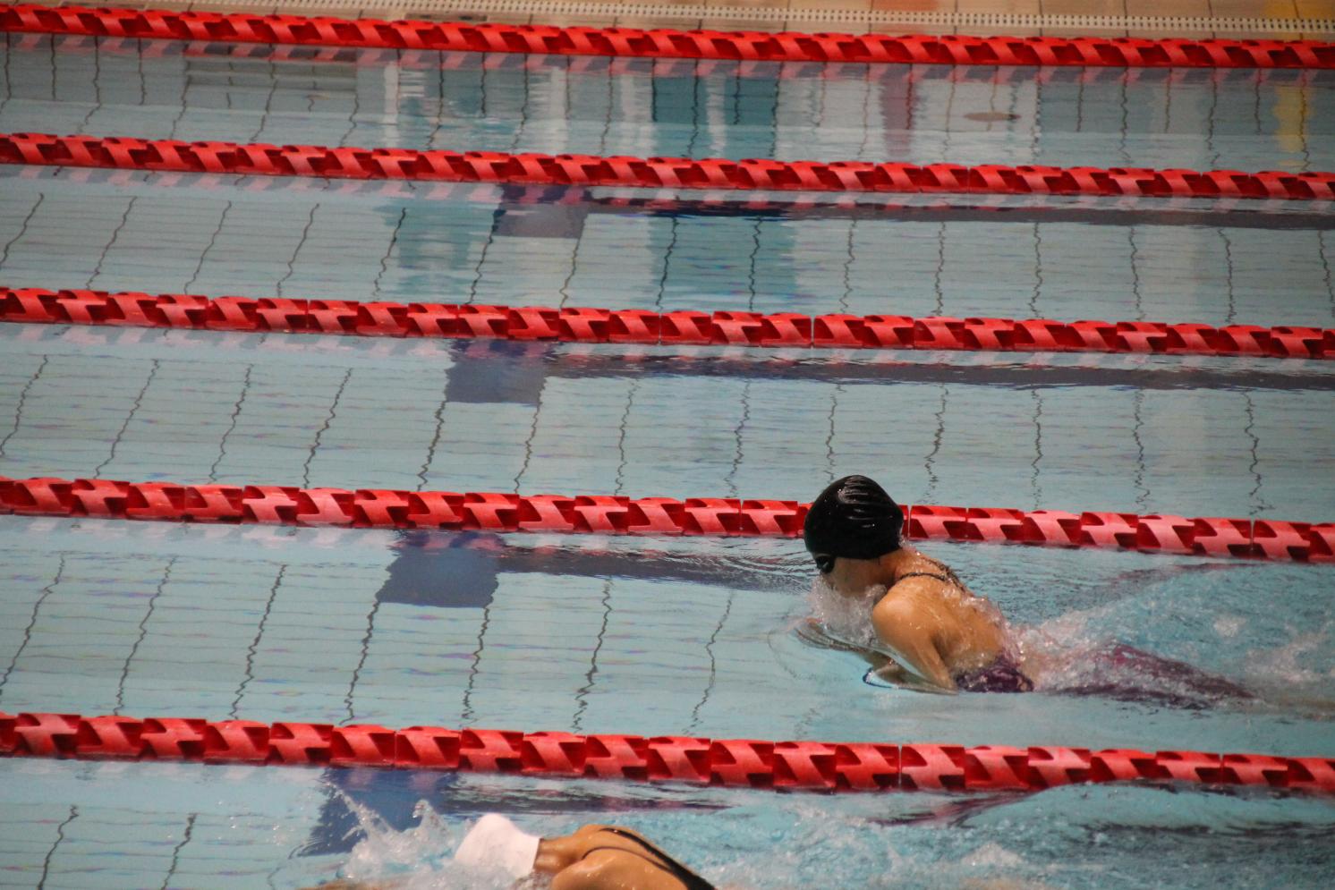 IMG_1278 IMG_1278