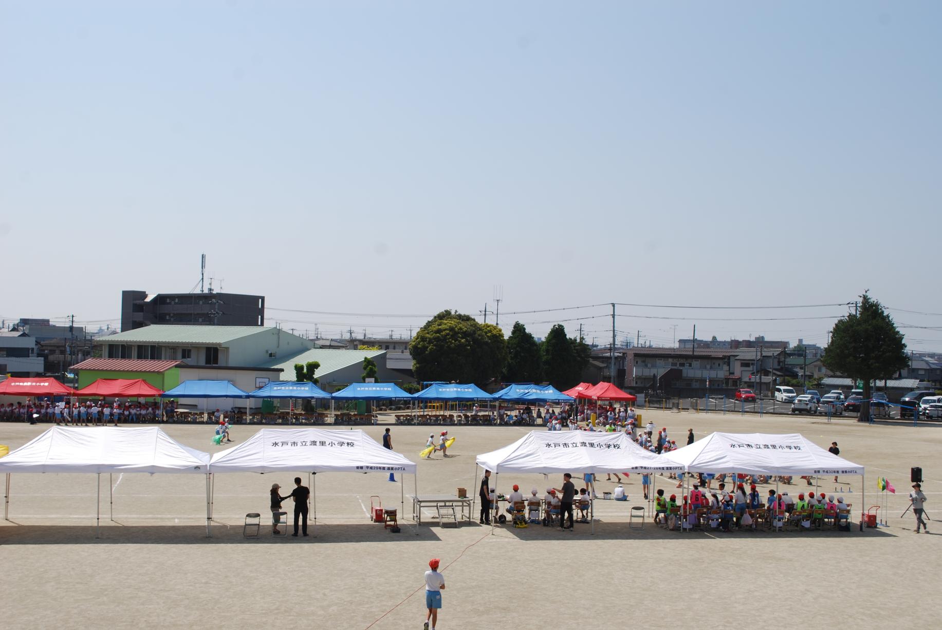 DSC_0512 DSC_0512
