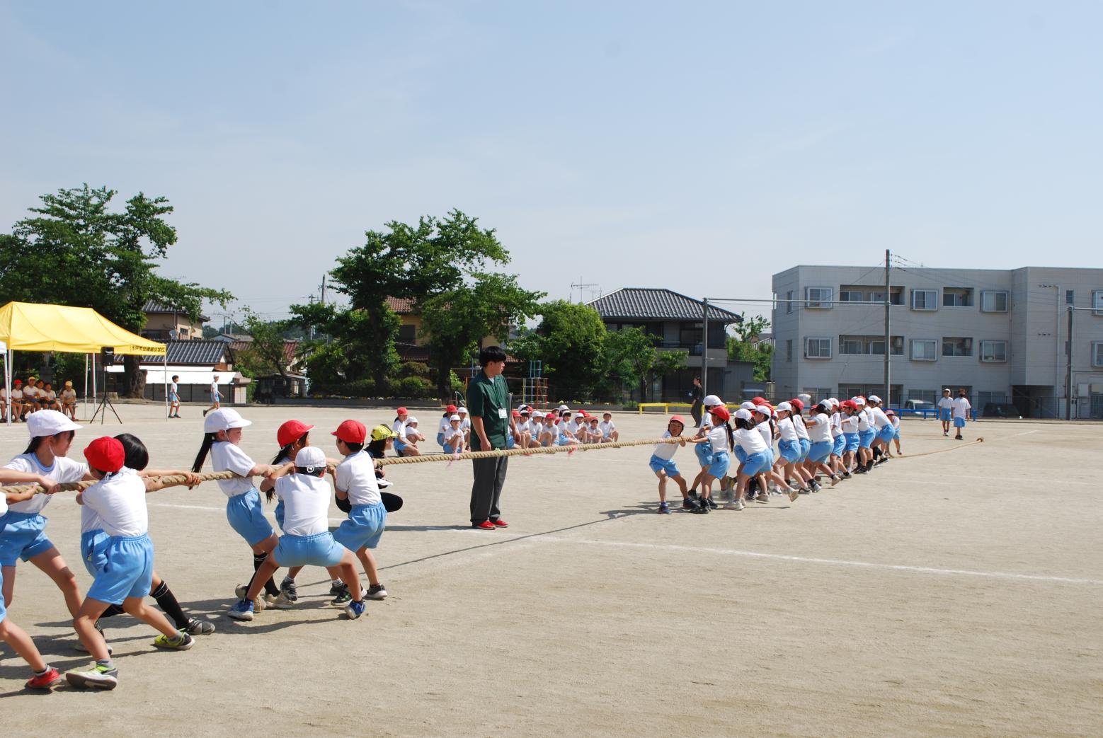 DSC_0516 DSC_0516