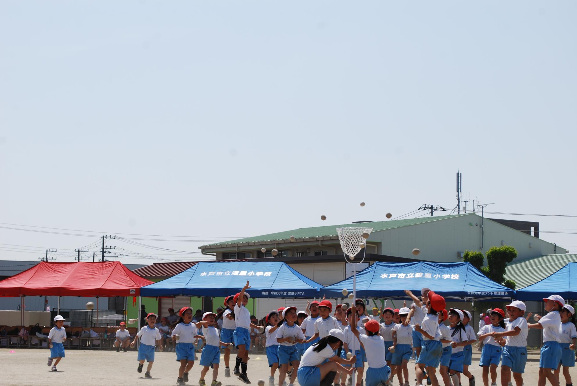 DSC_0528 DSC_0528