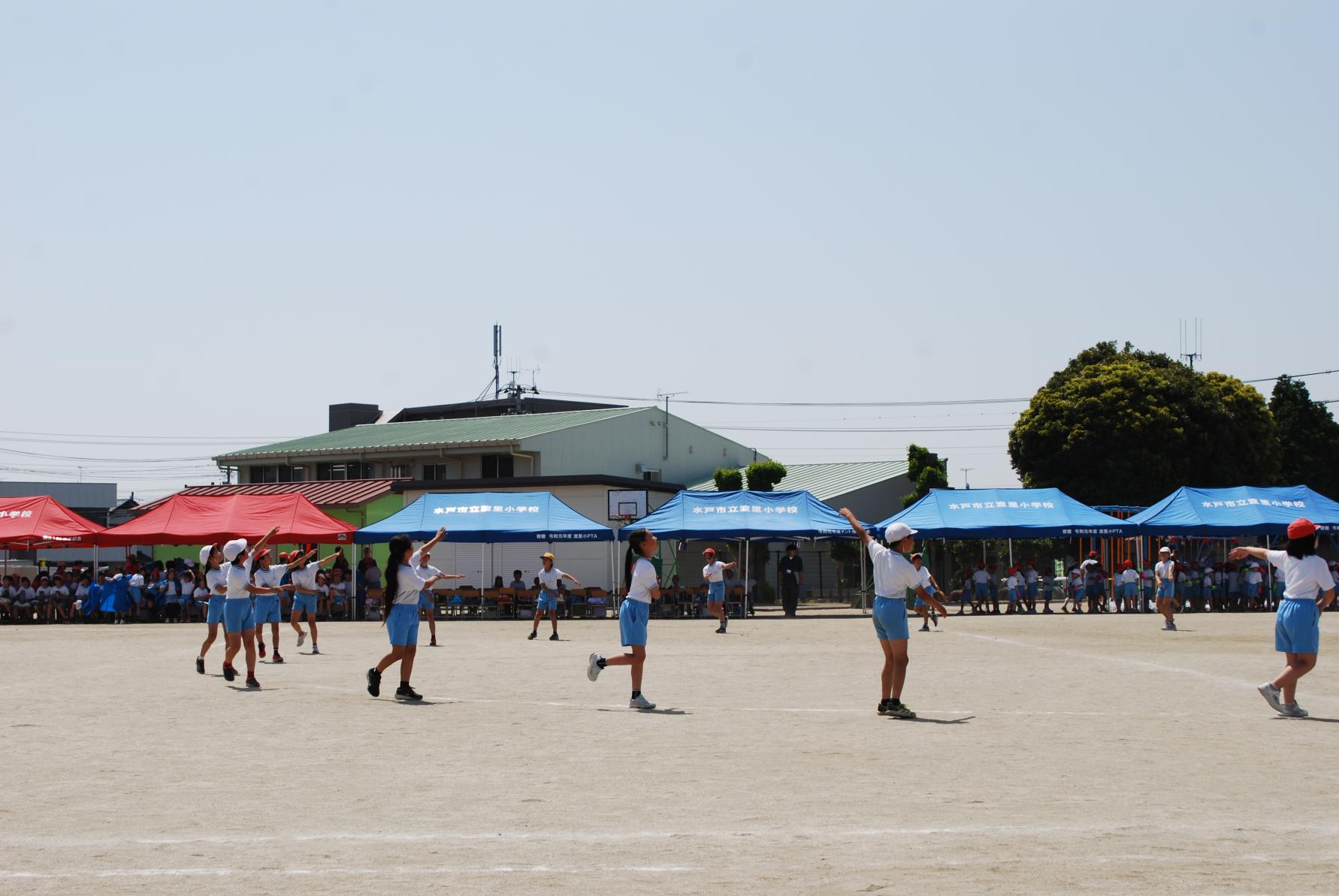 DSC_0531 DSC_0531