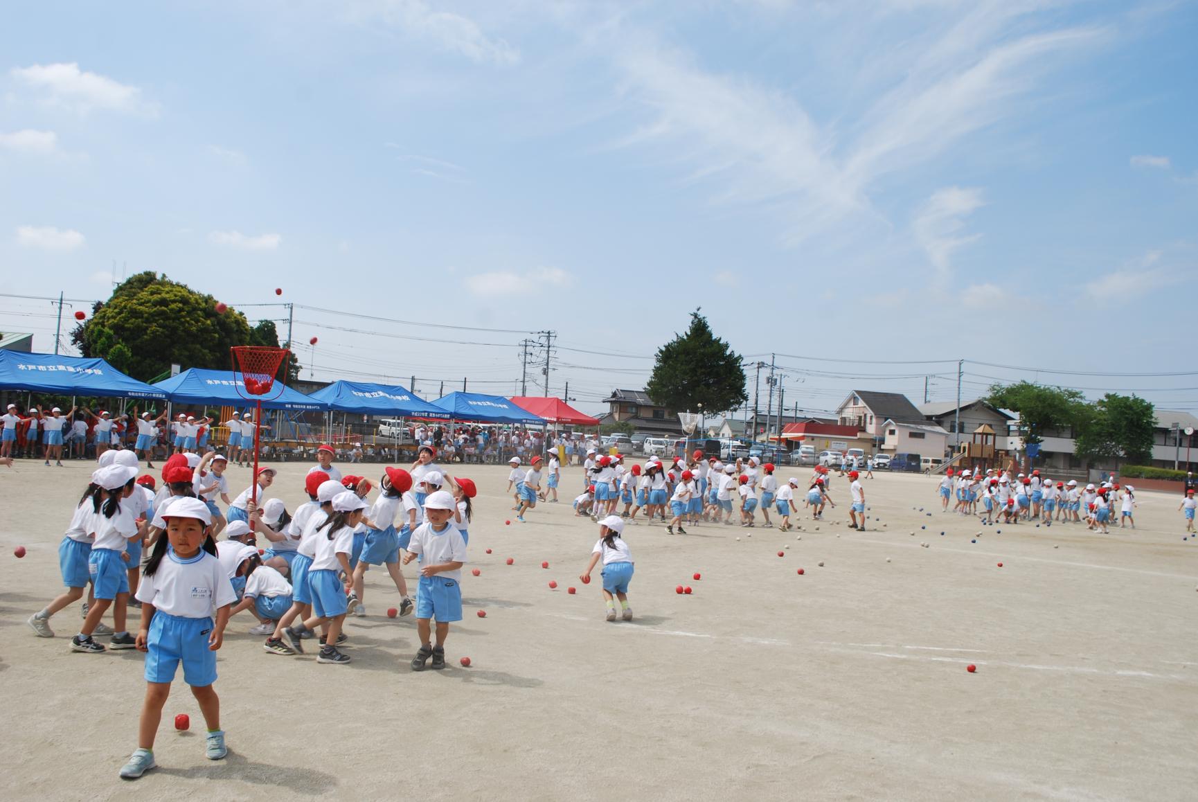 DSC_0565 DSC_0565