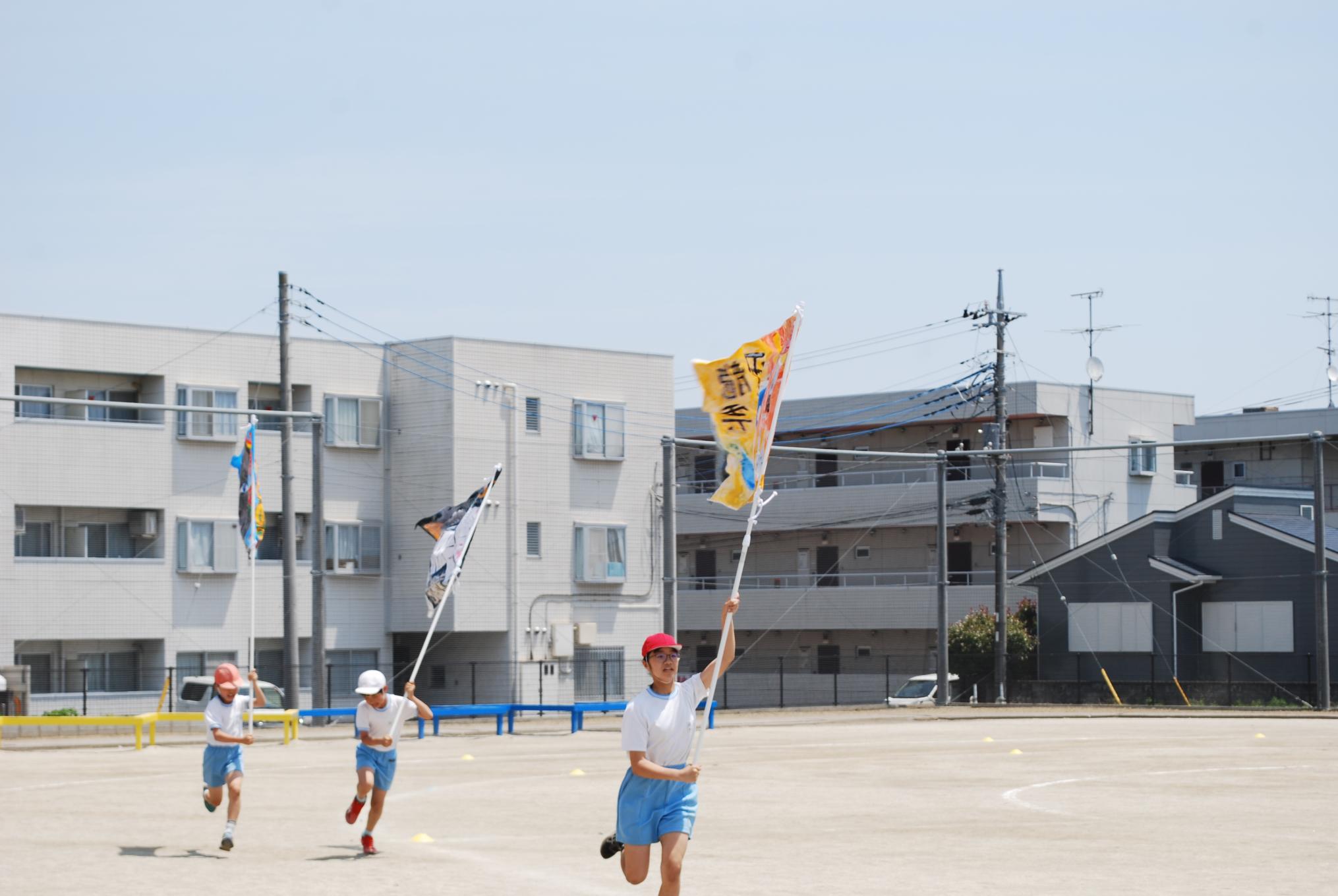 DSC_0617 DSC_0617