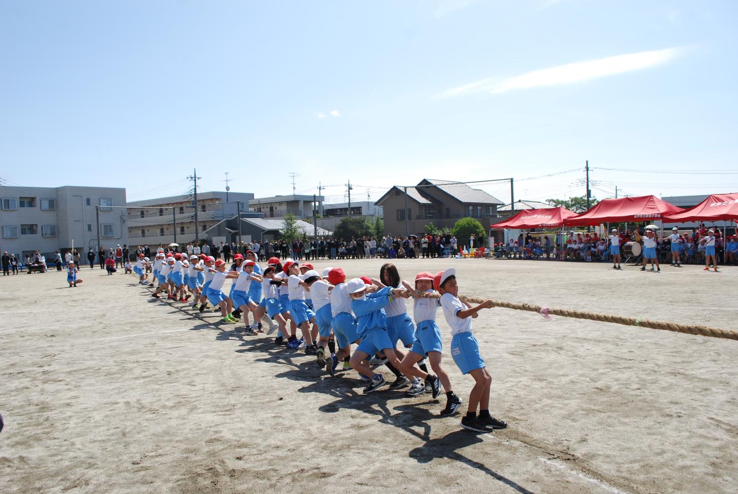 DSC_0679 DSC_0679