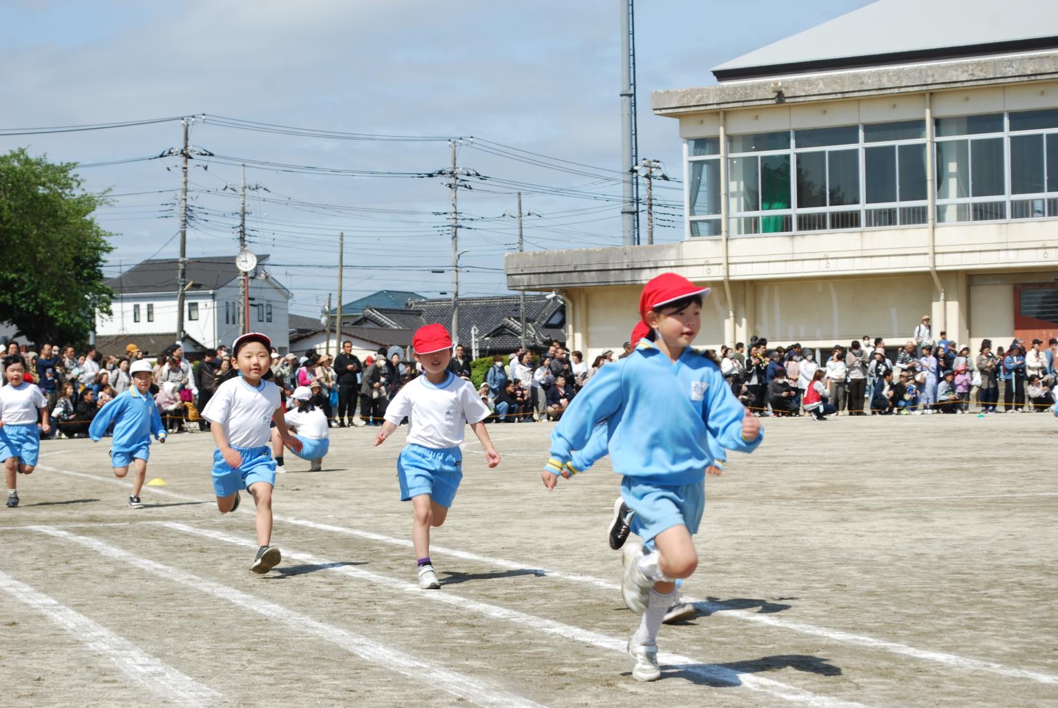DSC_0687 DSC_0687