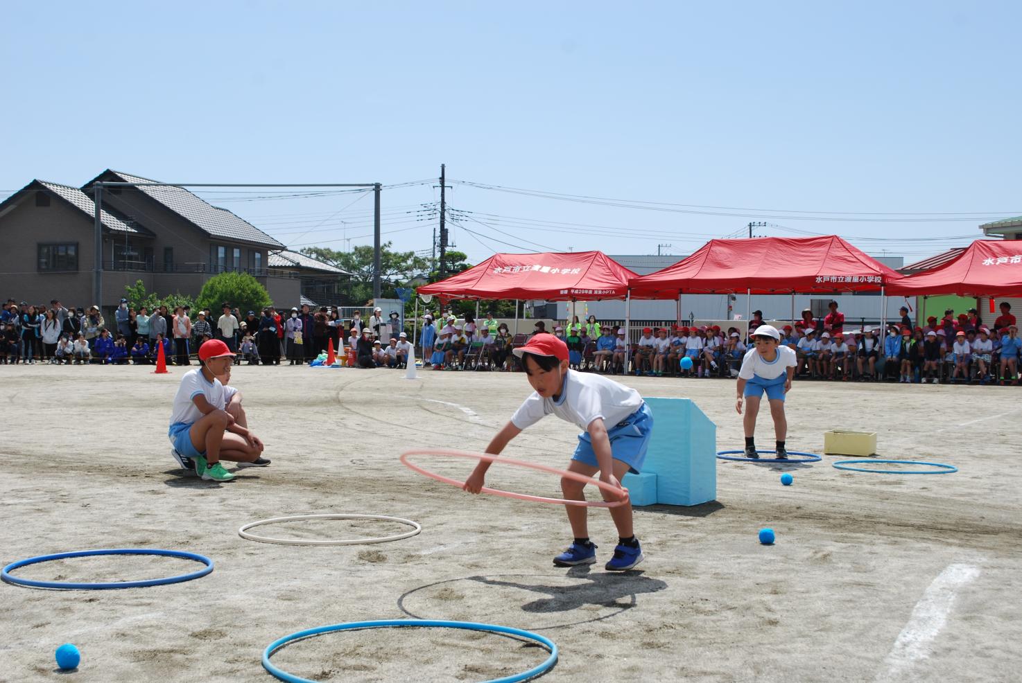 DSC_0711 DSC_0711
