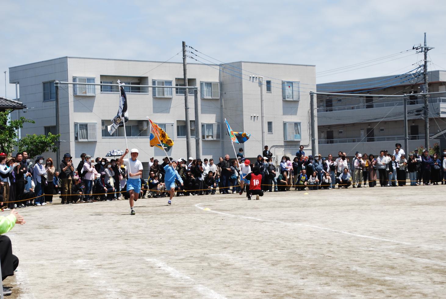 DSC_0782 DSC_0782