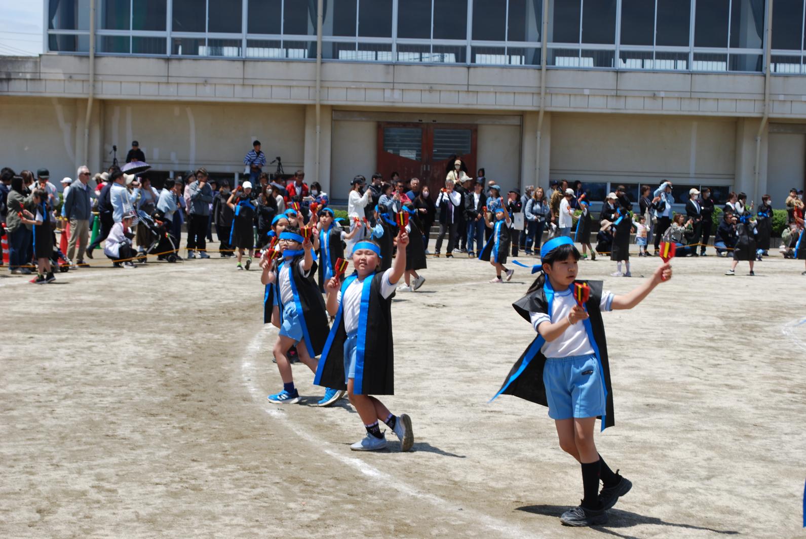 DSC_0784 DSC_0784