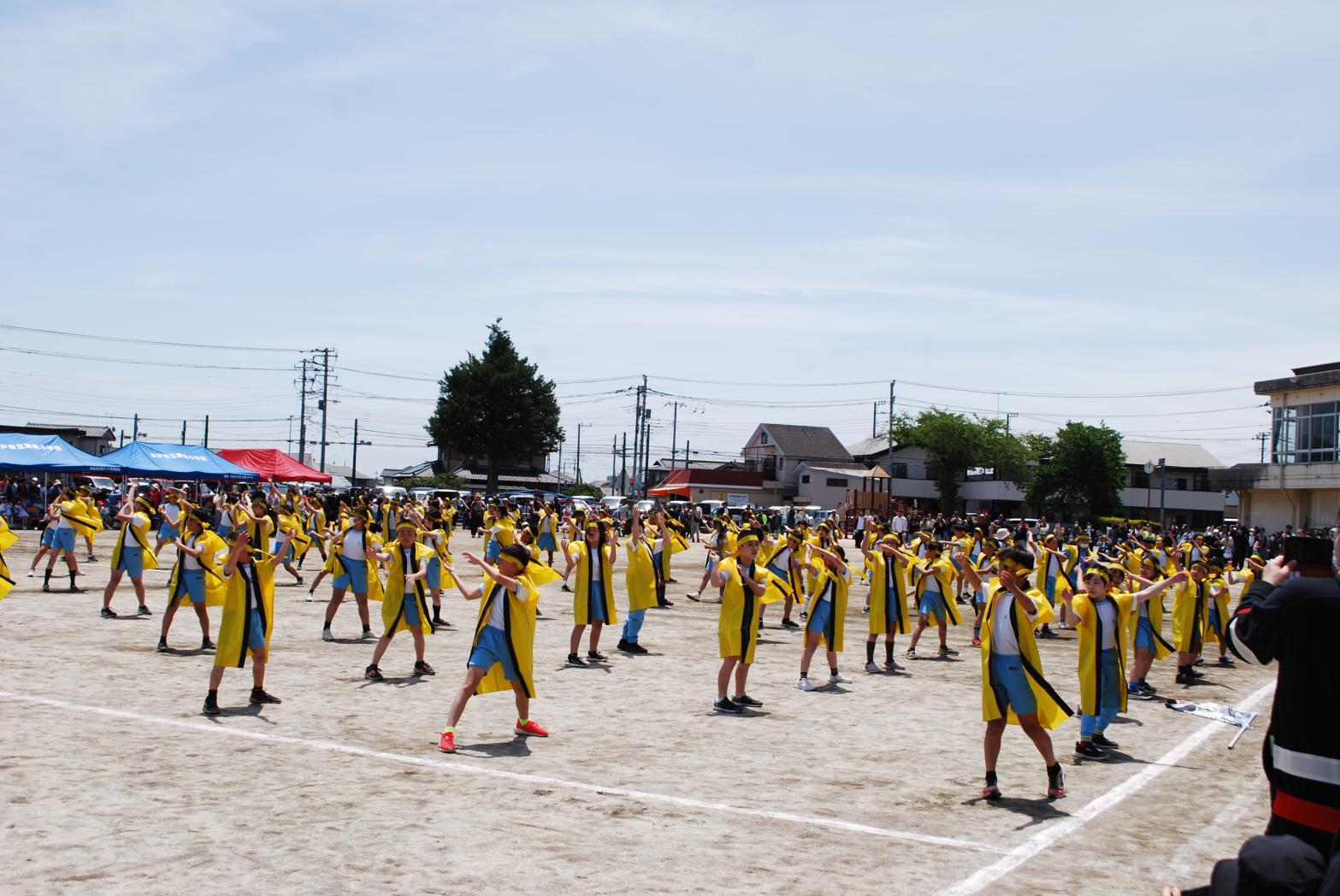 DSC_0795 DSC_0795
