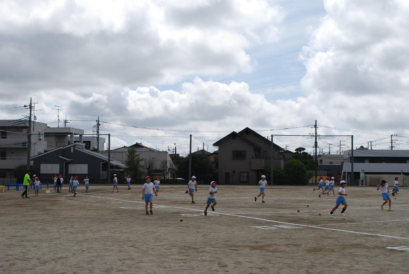 DSC_0812 DSC_0812