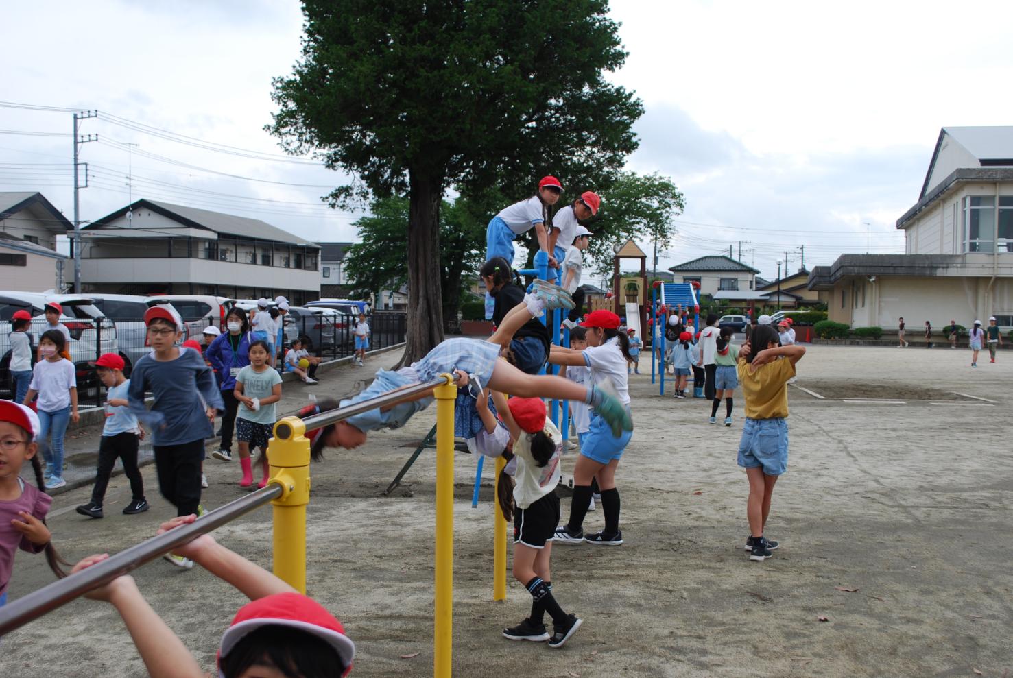 DSC_0965 DSC_0965