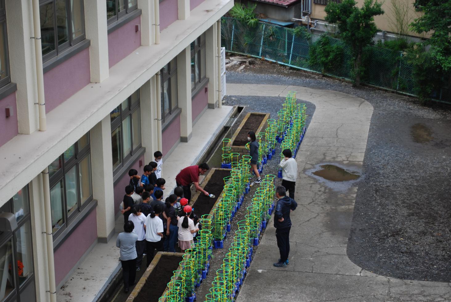 DSC_0976 DSC_0976