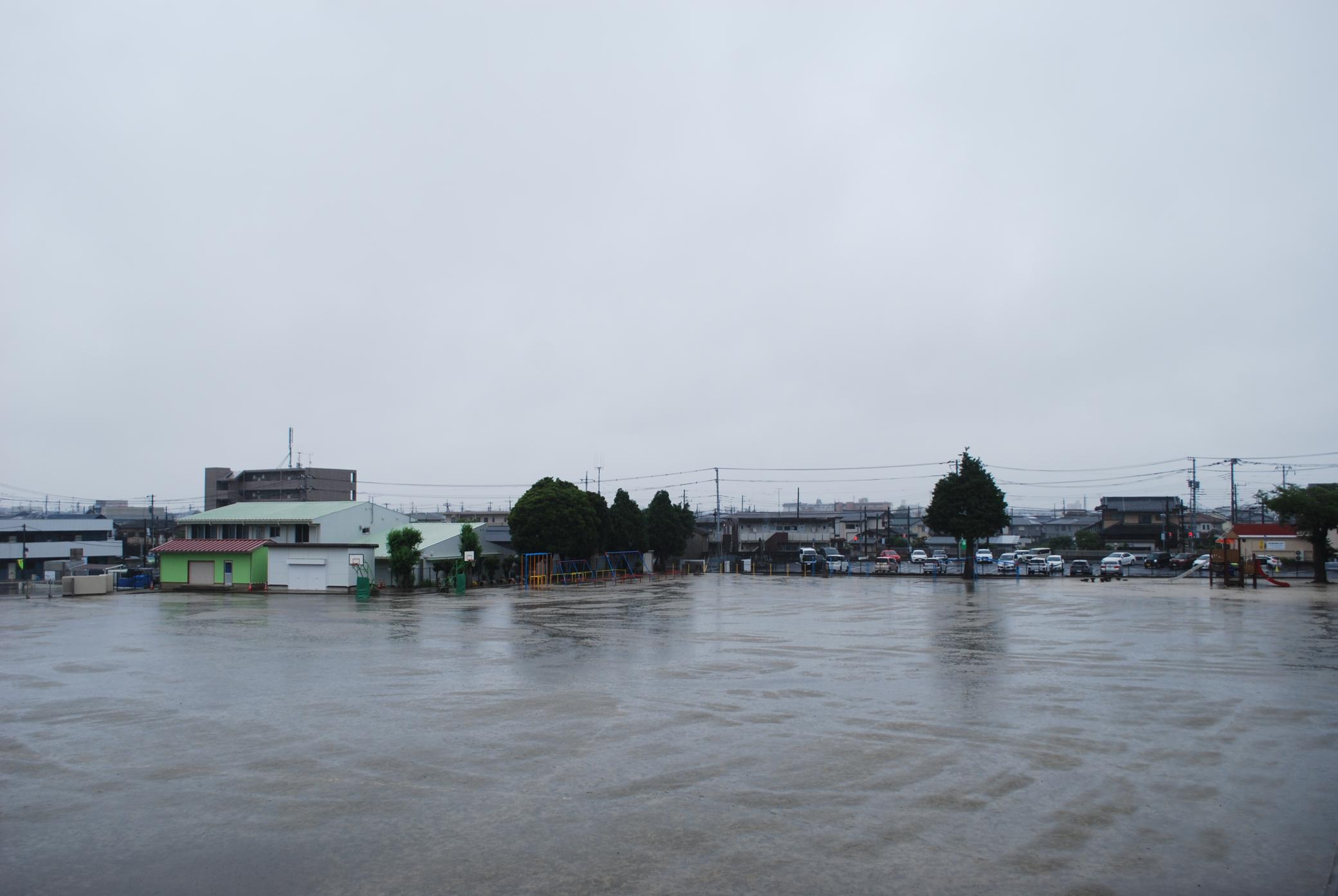 DSC_0153 DSC_0153
