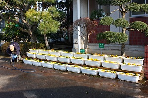 校門すぐ 校門すぐ