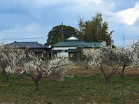 那珂川沿い 那珂川沿い