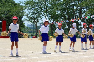 ポンポンもきれい ポンポンもきれい