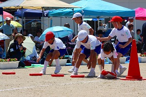 どれだー どれだー