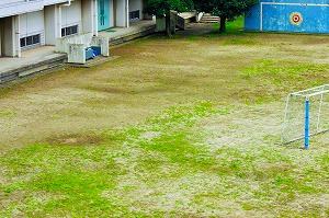 校庭は今