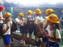 この魚なんだっけ この魚なんだっけ
