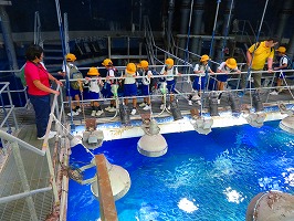 機会がいっぱい 機会がいっぱい