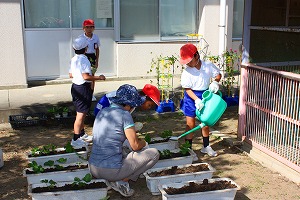 完成柳河小いちご園 完成柳河小いちご園