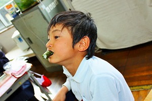 一口サイズ 一口サイズ
