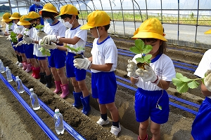 blog_DSC0279 blog_DSC0279