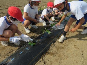 blogIMG_3172
