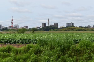 blogDSC_0017 blogDSC_0017