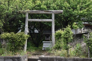 blogDSC_0031 blogDSC_0031