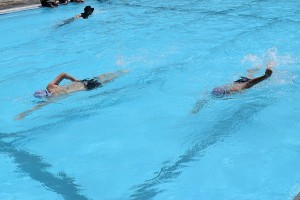 blogDSC_0317 blogDSC_0317