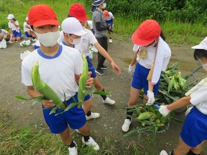 blogIMG_3578