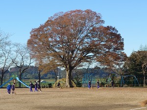blogDSC_1170