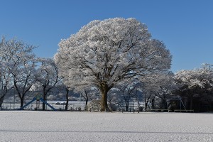 blogDSC_0856