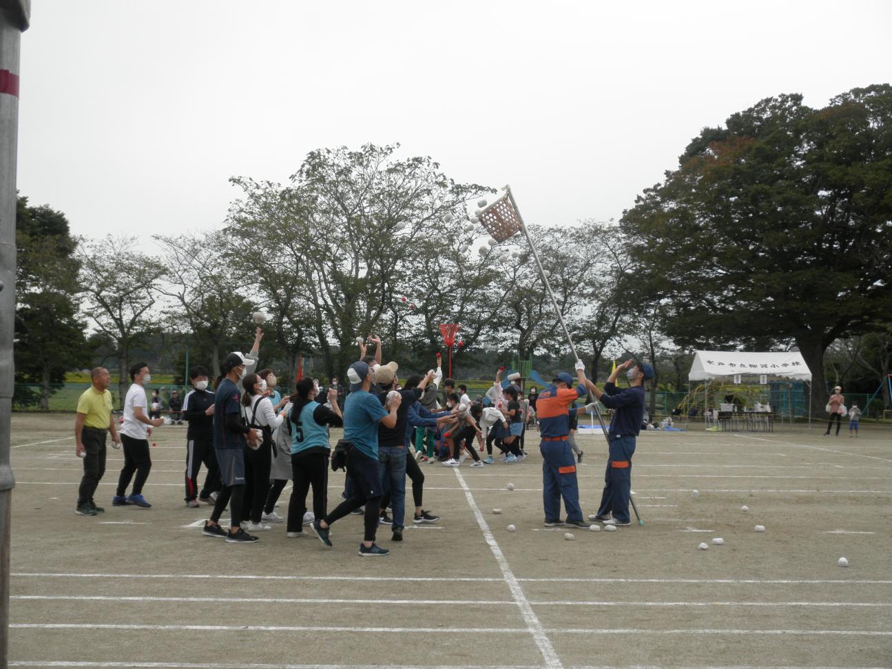 PA150970 PA150970