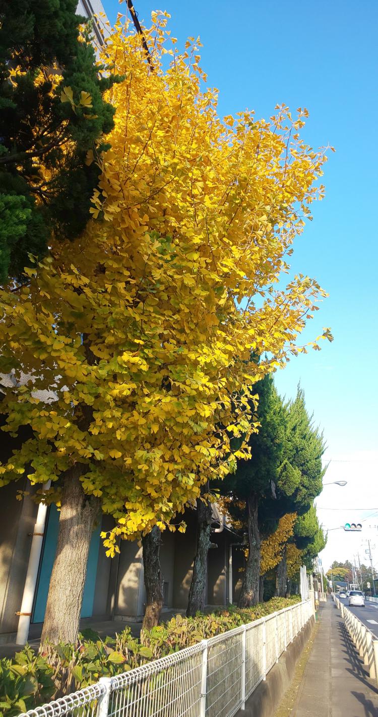 IMG_20221114_204119