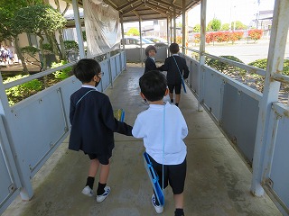IMG_5587 IMG_5587