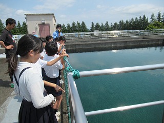 IMG_0494 IMG_0494