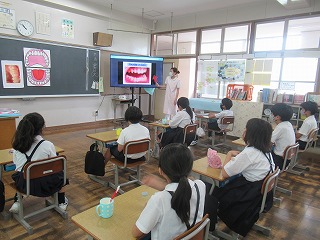 IMG_0886 IMG_0886