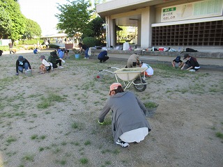 IMG_1361 IMG_1361