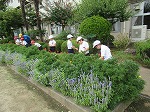 IMG_1499 IMG_1499