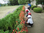 IMG_1502 IMG_1502