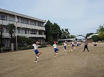 P9050337 P9050337