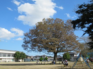 IMG_2006 IMG_2006