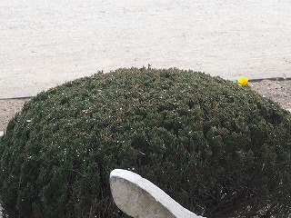 P1162399