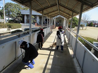 IMG_4870