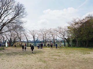 P4113160 P4113160