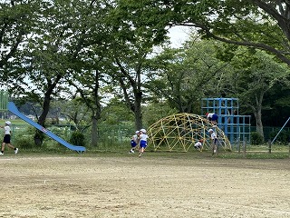IMG_6339 IMG_6339
