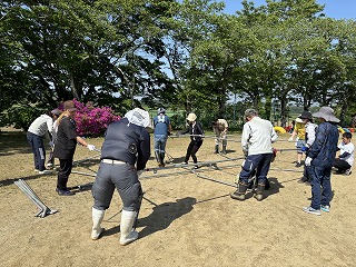 IMG_6596 IMG_6596