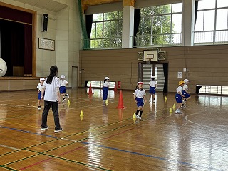 IMG_6653 IMG_6653